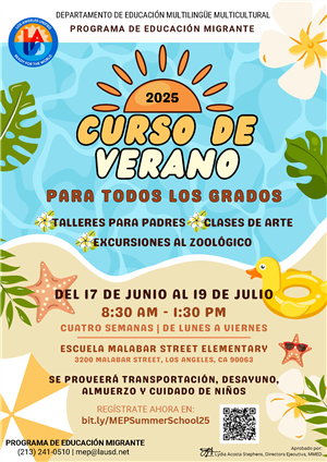 SUMMER SCHOOL FLYER